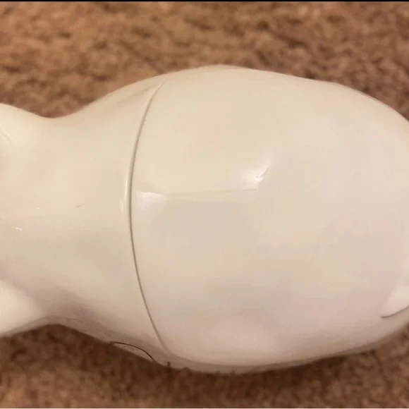 Rae Dunn Oink Canister
